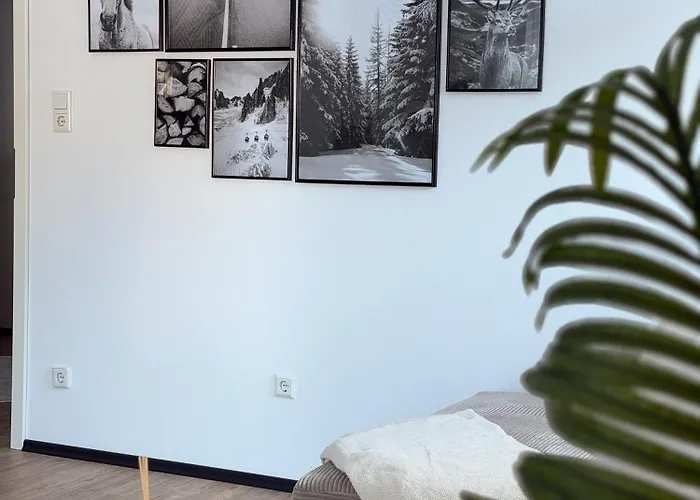 Modern 75qm With Balcony - Quiet Location Near Apartment Winterberg